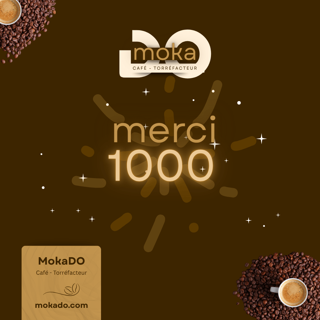 CANVA Mokado