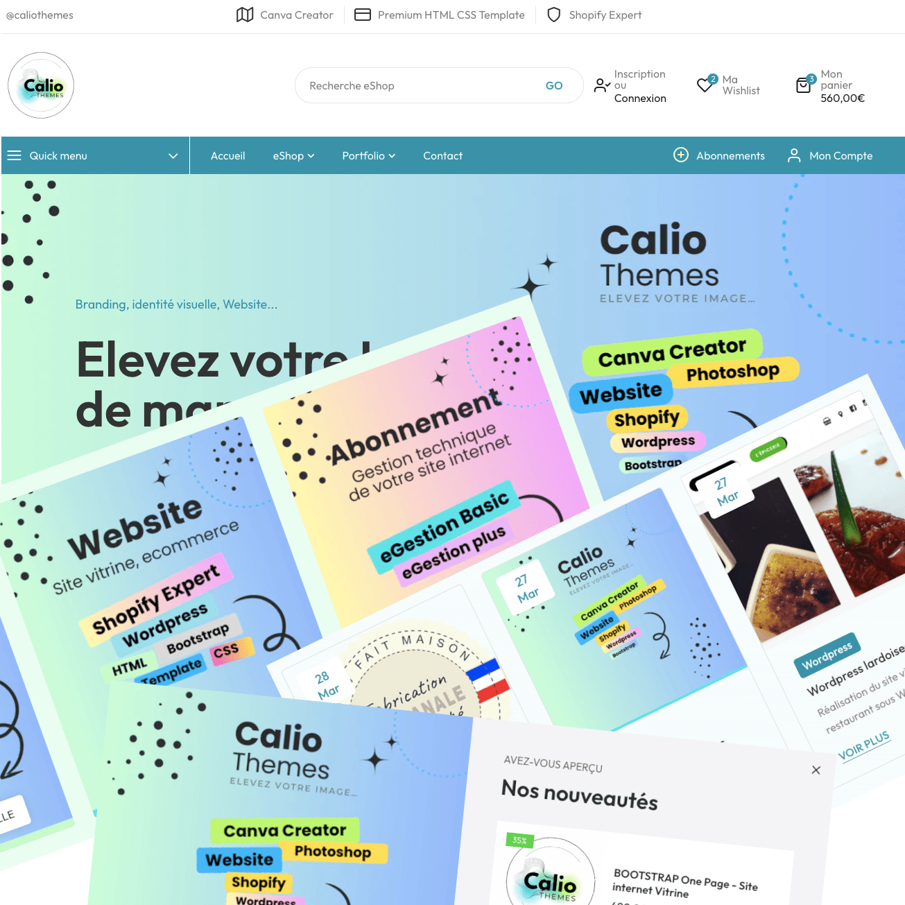 Site Ecommerce SHOPIFY Expert